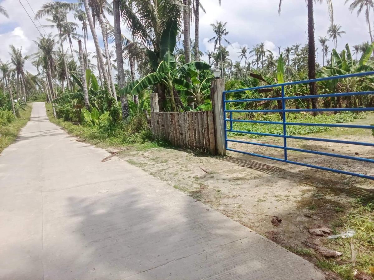 Bayay Ni Nanay Bed & Breakfast In Magpupungko Beach Road Pilar  Exterior photo